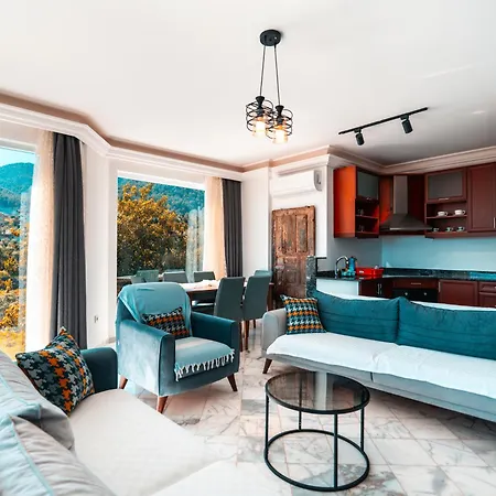 Polat Village 别墅