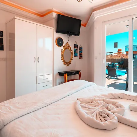 Polat Village 别墅 阿拉尼亚